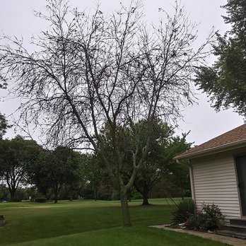 Home Pride Landscape & Design - Landscaping Near Me - Roselle, Illinois Home Pride Landscape & Design - Landscaping Near Me - Roselle, Illinois