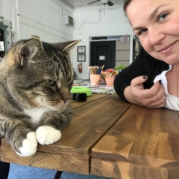 The Dancing Cat - Denali had such a personality, he definitely thinks he's in charge. :) - Pet Adoption Near Me - San Jose, California The Dancing Cat - Denali had such a personality, he definitely thinks he's in charge. :) - Pet Adoption Near Me - San Jose, California
