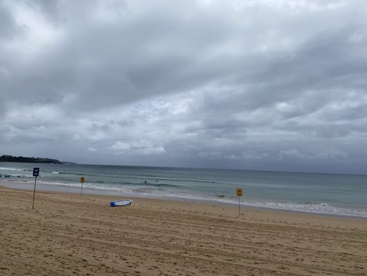 Manly Beach by null