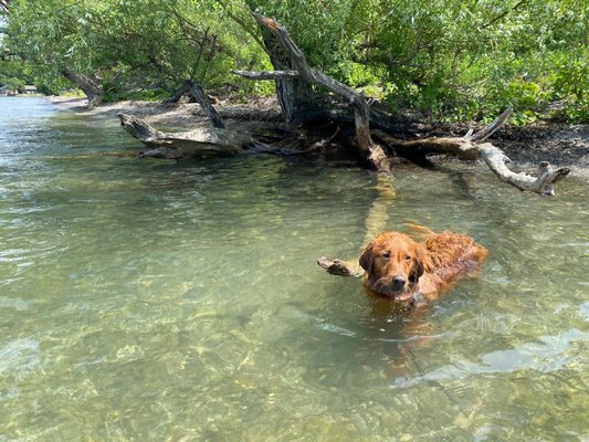 Long Point State Park by null