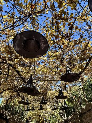 Forestiere Underground Gardens by null