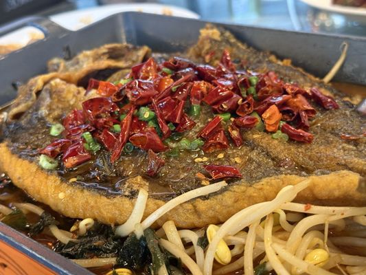 Dong Ting Spring by null