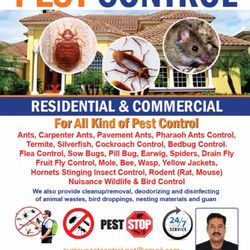 Surrey Pest Control - Pest control services