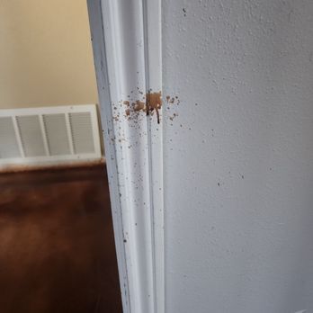 ADVANCED CONCRETE DESIGNS - Floor stain on wall - Masonry/Concrete Near Me - San Antonio, Texas ADVANCED CONCRETE DESIGNS - Floor stain on wall - Masonry/Concrete Near Me - San Antonio, Texas