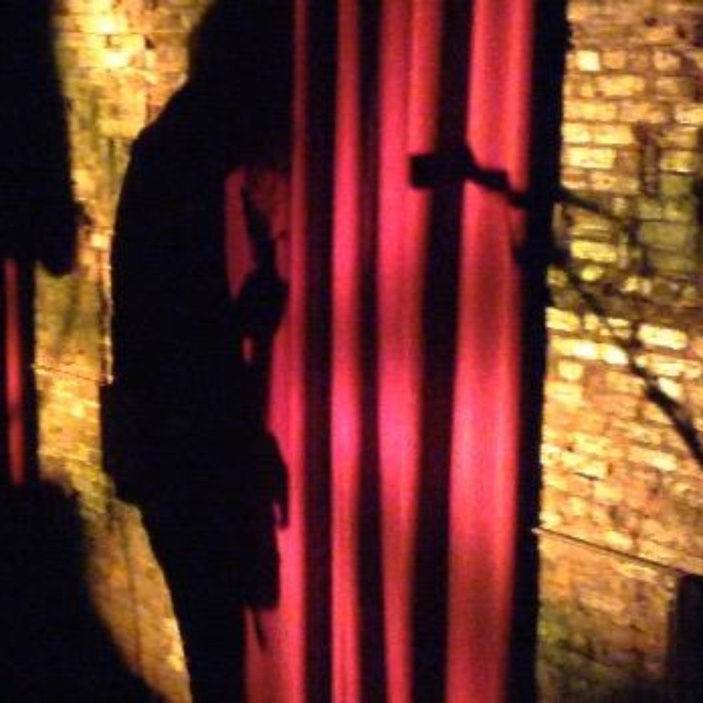 Awesome original brick walls inside the theatre (they survived the fire a few years back)  Beautiful