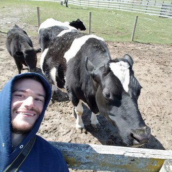 Farm Sanctuary - Animal Shelters Near Me - Watkins Glen, New York Farm Sanctuary - Animal Shelters Near Me - Watkins Glen, New York