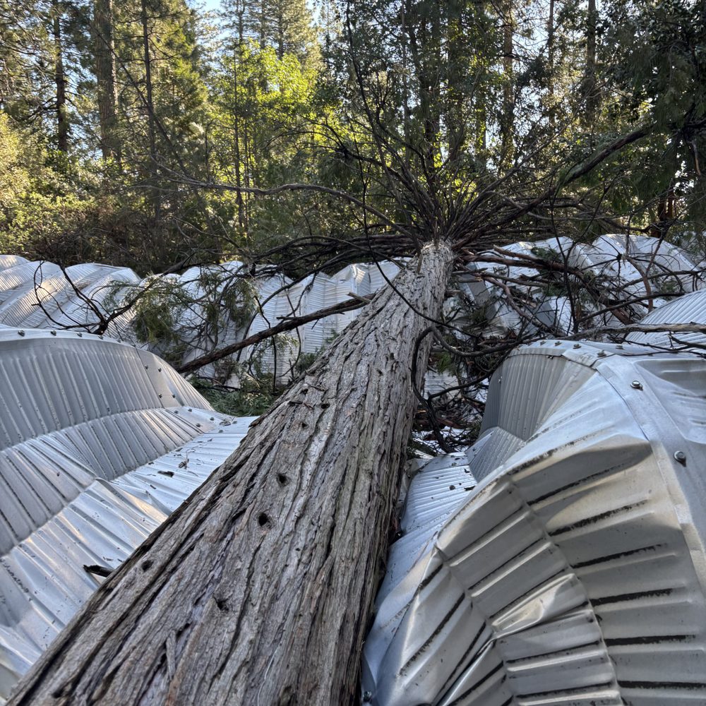 S & J Demolition Services - Demolition Services Near Me - Citrus Heights, California S & J Demolition Services - Demolition Services Near Me - Citrus Heights, California
