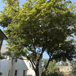 Arbortech Tree Service