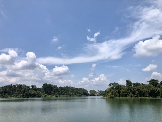 Lower Peirce Reservoir Park by null