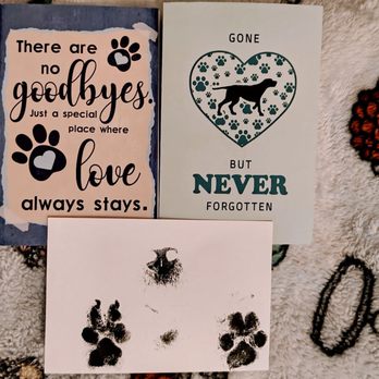 El Cerrito Veterinary Care - Thank you for the beautiful cards - Veterinarians Near Me - El Cerrito, California El Cerrito Veterinary Care - Thank you for the beautiful cards - Veterinarians Near Me - El Cerrito, California