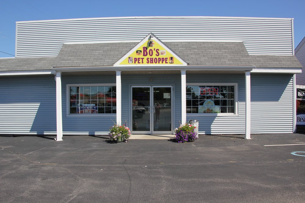 BO’S PET SHOPPE Updated October 2024 14883 South Ave, Columbiana