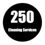 Photo of 250 Cleaning Services