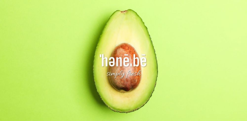 Hanebe Logo