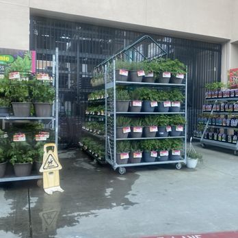 The Home Depot - They have beautiful plants here - Hardware Stores Near Me - Campbell, California The Home Depot - They have beautiful plants here - Hardware Stores Near Me - Campbell, California