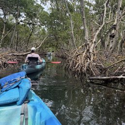 Mangrove kayaking Mangrove kayaking