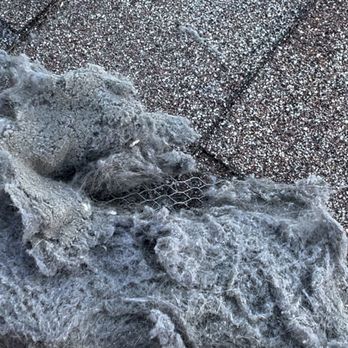 Clean Air Pros - This homeowner called us after noticing lint on her roof.
We arrived to find enough dryer lint to start campfires. - Air Duct Cleaning Near Me Clean Air Pros - This homeowner called us after noticing lint on her roof.
We arrived to find enough dryer lint to start campfires. - Air Duct Cleaning Near Me