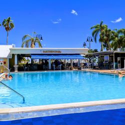 Parthenon Bar - Safety Harbor and spa