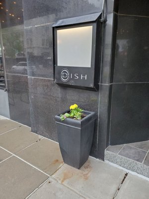 DISH Restaurant by null