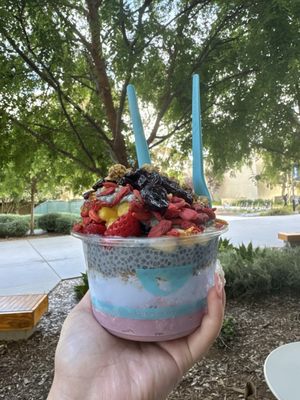 Blue Bowl - San Diego (UCSD) by null