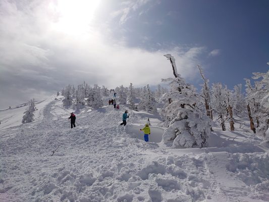 Zao Onsen Ski Resort by null