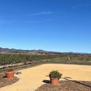 Larson Family Winery - Vineyard - Wineries Near Me - Sonoma, California Larson Family Winery - Vineyard - Wineries Near Me - Sonoma, California