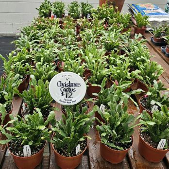 Garden Shack - Nurseries & Gardening Near Me - Jacksonville, Florida Garden Shack - Nurseries & Gardening Near Me - Jacksonville, Florida