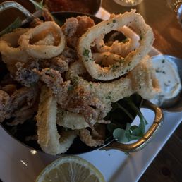 Calamari Calamari