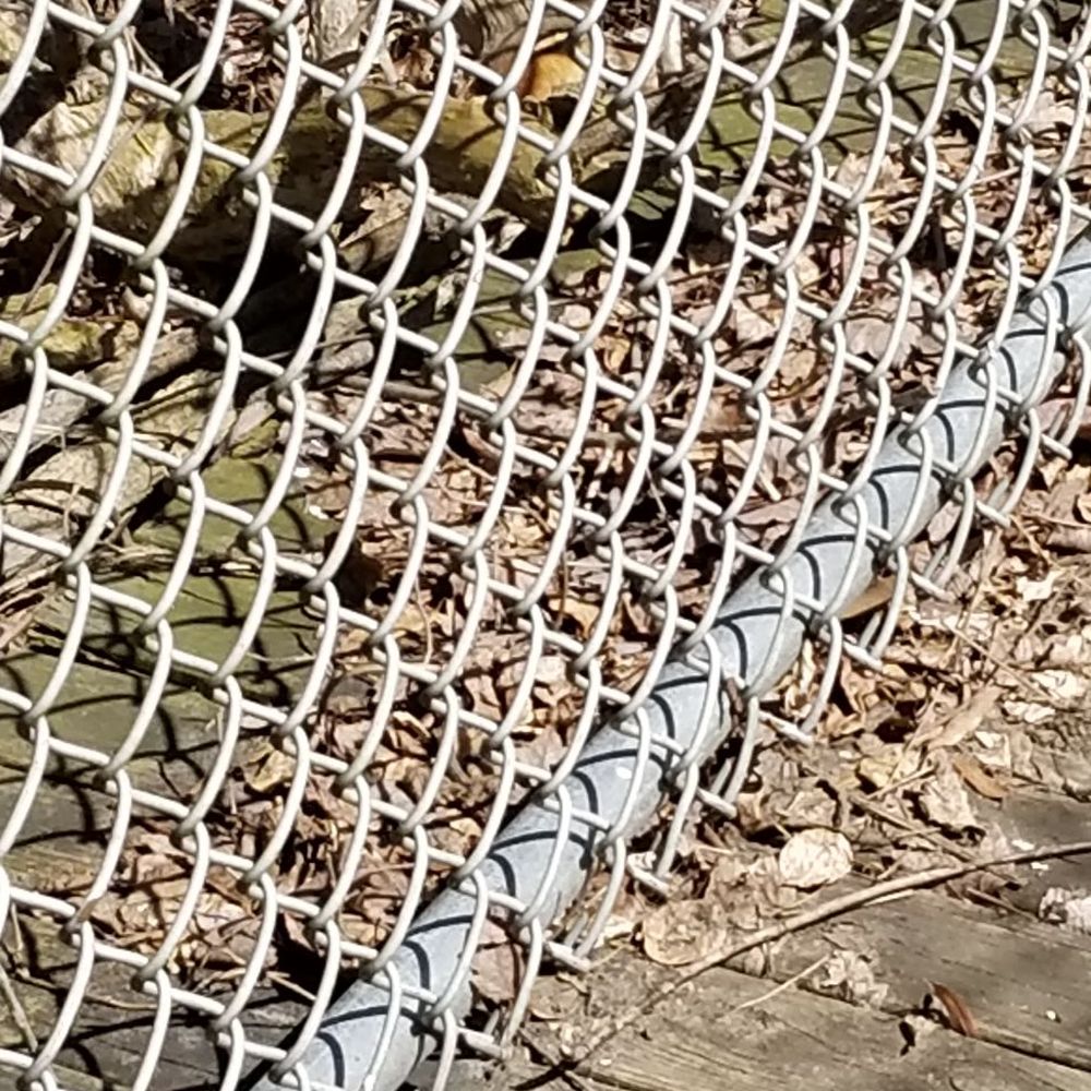 Van Cortlandt Park  - Chipmunk. Sorry for the bad picture. - Parks Near Me - Bronx, New York