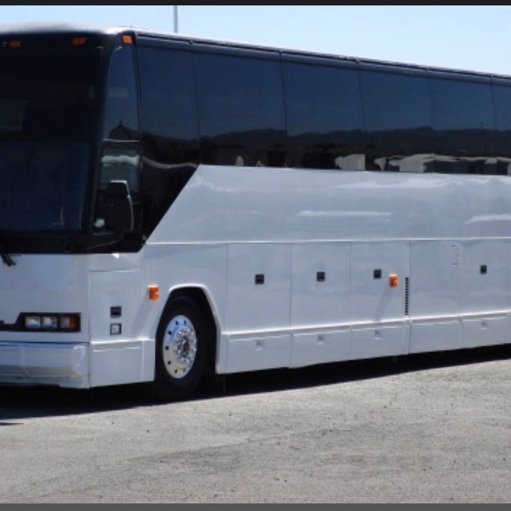 TOP 10 BEST Buses in Northport, AL - Updated 2026 - Yelp