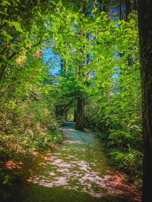 Spencer Butte Trailhead by null