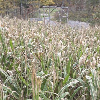 Maple Valley Acres - Attraction Farms Near Me - Harrisburg, Pennsylvania