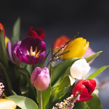 Sarah's Flowers - Tulips - Florists Near Me - Fullerton, California