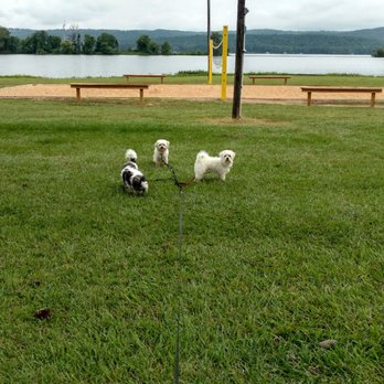 Mountain Lakes Resort - Campgrounds Near Me - Langston, Alabama