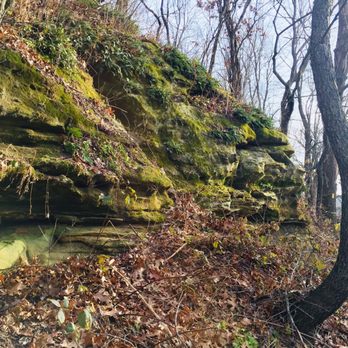 Ice Age Trail - Montrose Segment - Hiking Near Me - Belleville, Wisconsin