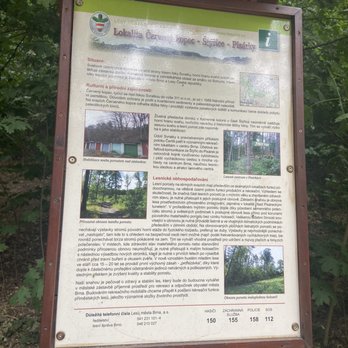 Educational Forestry Trail - Hiking Near Me - Brno-střed, JM