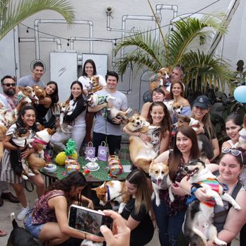 TLC Pet Services - Meetups set up by us! - Pet Boarding Near Me TLC Pet Services - Meetups set up by us! - Pet Boarding Near Me