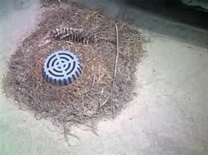 Slide of Wood's Rooter Service