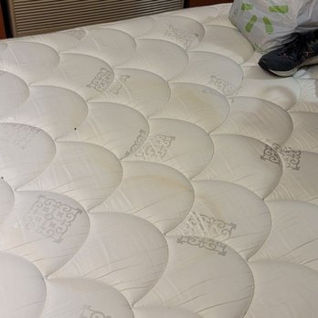 Motel 6 - This was "treated" according to management and housekeeping. - Hotels Near Me - Sutherlin, Oregon Motel 6 - This was "treated" according to management and housekeeping. - Hotels Near Me - Sutherlin, Oregon
