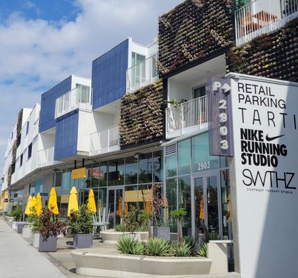 Tartine Venice by null