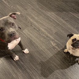 Kylo and Brody