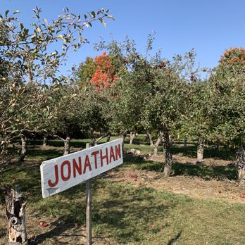 Littletree Orchards - a sign that says jonathan - Fruits & Veggies Near Me - Newfield, New York