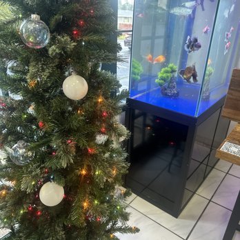 Drip & Sip - Xmas - Coffee & Tea Near Me - Tukwila, Washington