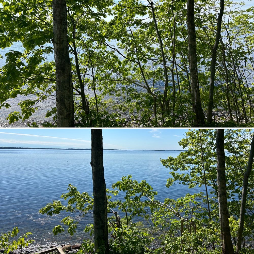 Maine Treekeepers - tree service in Thomaston, ME