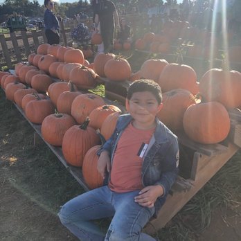 Summers Farm - Pumpkin patch - Attraction Farms Near Me - Middletown, Maryland