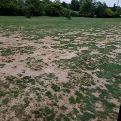 Royal Oak Golf Course