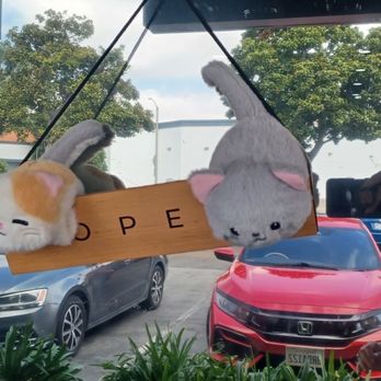 Fluffy Tail Cafe - Coffee & Tea Near Me - Tustin, California