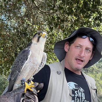 Sky Falconry - Kirk with lanner falcon - Specialty Schools Near Me - Alpine, California Sky Falconry - Kirk with lanner falcon - Specialty Schools Near Me - Alpine, California