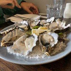 Growlers - Oysters