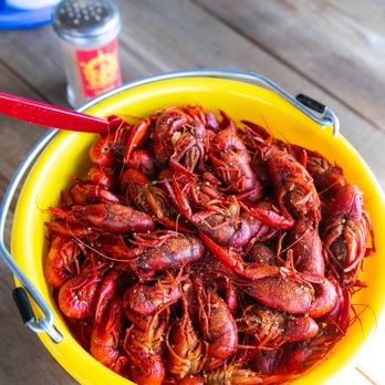 Te'Jun, The Texas Cajun- Keller - Seafood Near Me - Keller, Texas Te'Jun, The Texas Cajun- Keller - Seafood Near Me - Keller, Texas