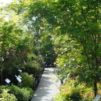East Bay Nursery - Nurseries & Gardening Near Me - Berkeley, California East Bay Nursery - Nurseries & Gardening Near Me - Berkeley, California